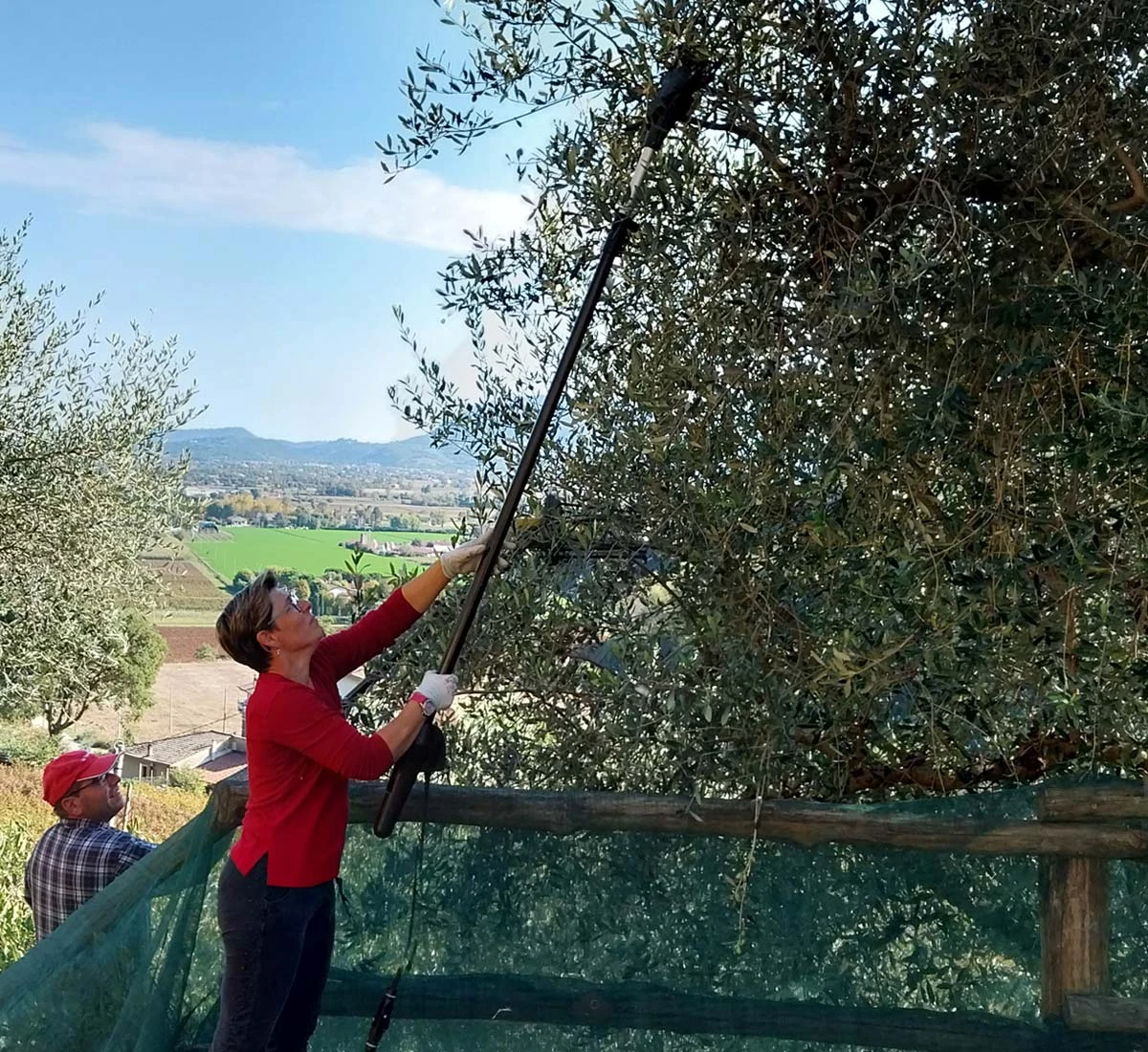 🌱 Qualità senza Compromessi