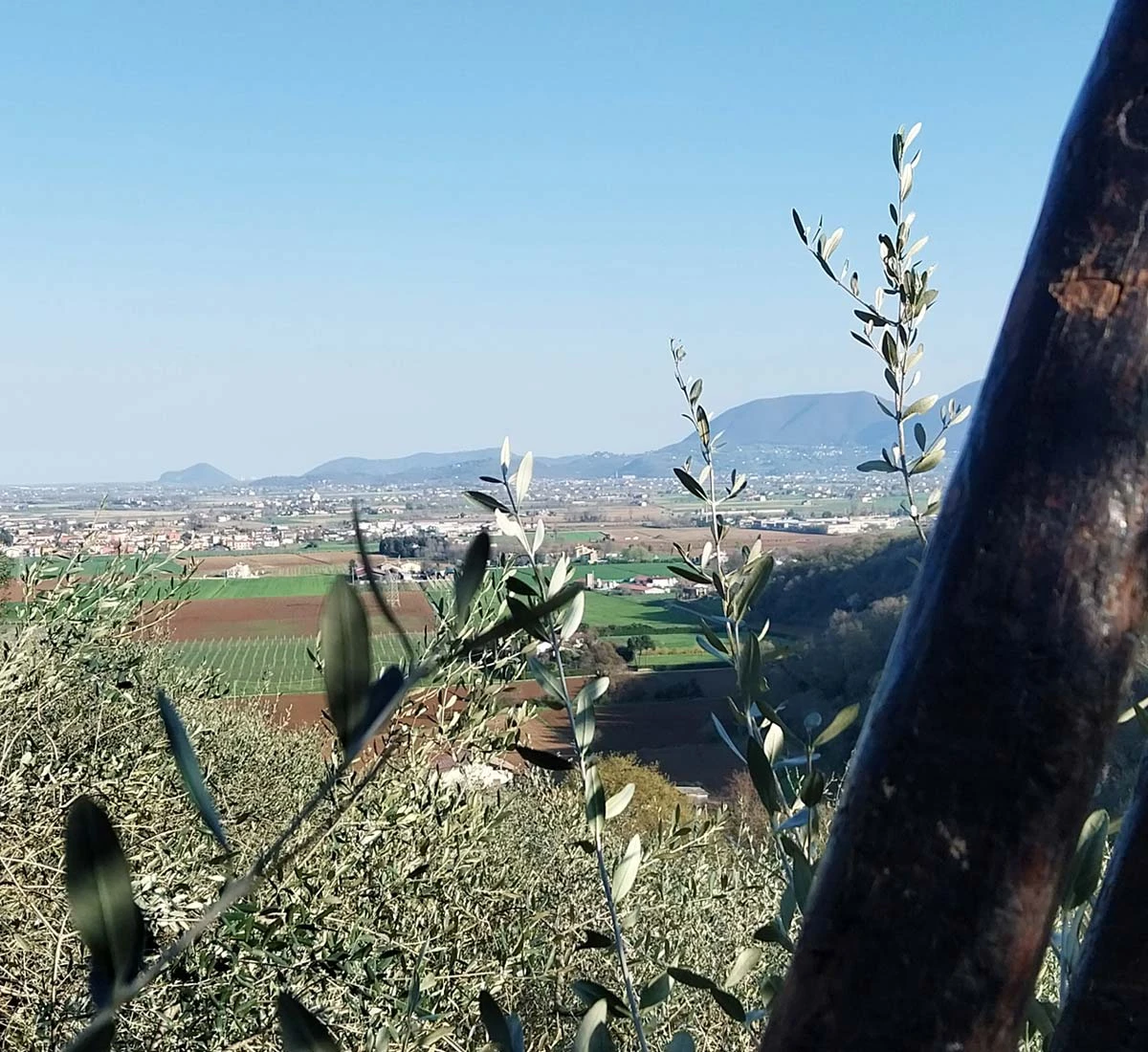 🍃 Un Viaggio Sensoriale